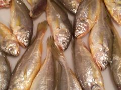 -阿马蛋汤·宁波小海鲜(总店)