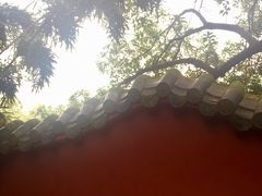 -房湖公园