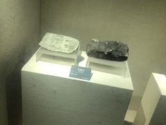 -安徽省地质博物馆