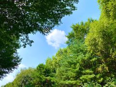 -长春市南湖公园