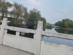 -溱湖国家湿地公园