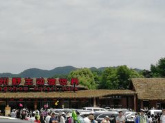 -肯德基(富阳九龙DT店)