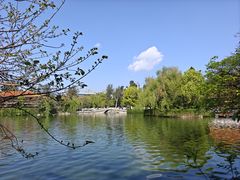 -翠湖公园