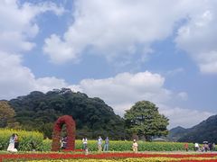 -广州市石门国家森林公园