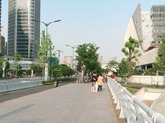 -金沙湖公园