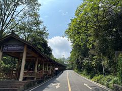 -中国大熊猫保护研究中心雅安碧峰峡基地