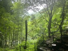-山沟沟景区