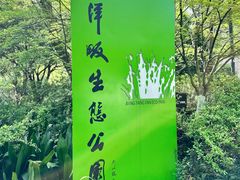 -西湖风景区-江洋畈生态公园