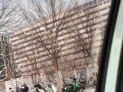 -首都医科大学附属北京天坛医院