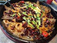 -老板恋上鱼(恒隆广场店)