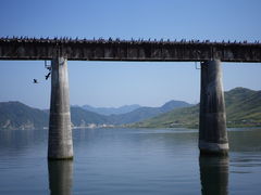 -河口景区