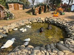 -HERRE·FARM 赫尔露营农场·团建聚会包场