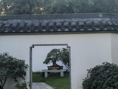 -上海醉白池公园