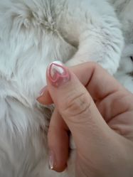 点击看大图 -Nail Me美甲美睫