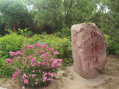 -大槐树寻根祭祖园
