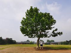 -钟山体育运动公园