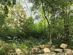 -成都市活水公园