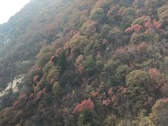 -少华山国家森林公园