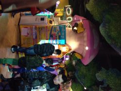 卡通尼乐园(金桥广场店)-卡通尼·Safari非洲探索乐园·生日会(金桥国际商业广场店)