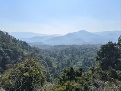 -中国科学院西双版纳热带植物园
