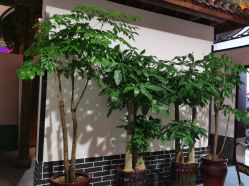 -特味村·宴会厅(生态园店)