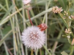 -千姿湖生态旅游景区