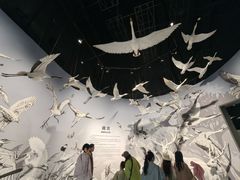 -中国湿地博物馆