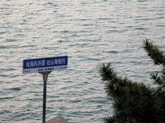 -在海一方公园