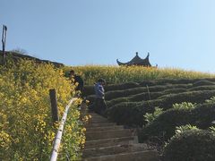 -石潭村