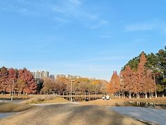-白塘生态植物园