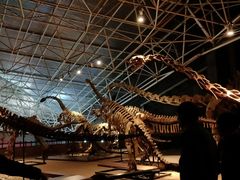 -世界恐龙谷景区