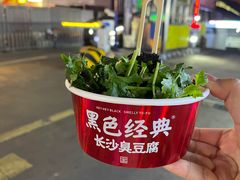 -黑色经典臭豆腐·湖南特产(坡子街店)