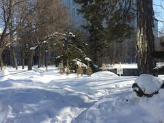 -北海道厅旧本厅舍(旧本庁舎)