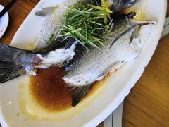 -老乡村美食农庄