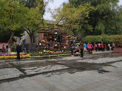 -文瀛公园
