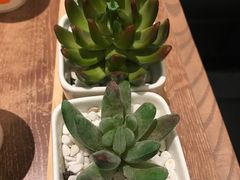 -必胜客(大悦城店)