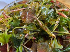 -雷祖芳老妈蹄花店