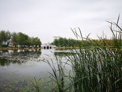 -长春市南湖公园