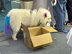 -东浩兰生上海世博展览馆