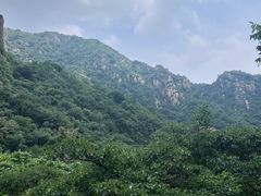 -大岭沟猕猴桃谷风景区