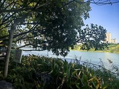 -南宁南湖公园