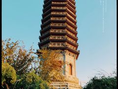 -西海子公园