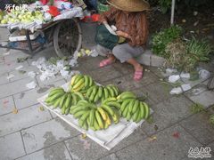-黄埔古港