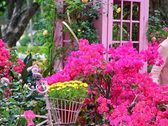 -人民公园(罗湖区)