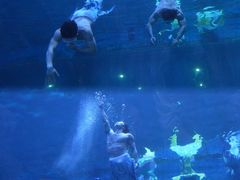 -华夏文旅海洋公园