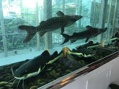 -衡山汇·高级粤菜(霄云路店)
