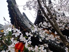 -龙华寺