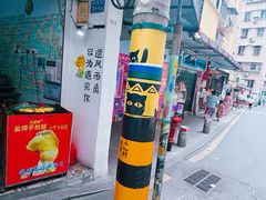 -猫咪博物馆(顶澳仔猫街店)