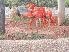 -太原动物园