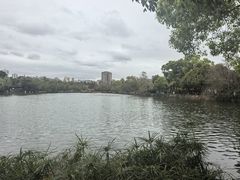 -翠湖公园